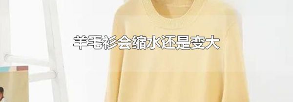 羊毛衫会缩水还是变大