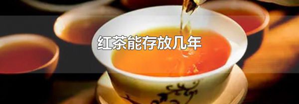 红茶能存放几年