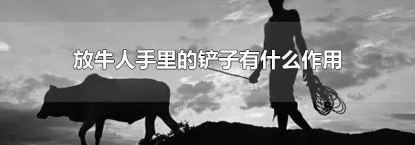 放牛人手里的铲子有什么作用