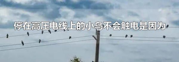 停在高压电线上的小鸟不会触电是因为