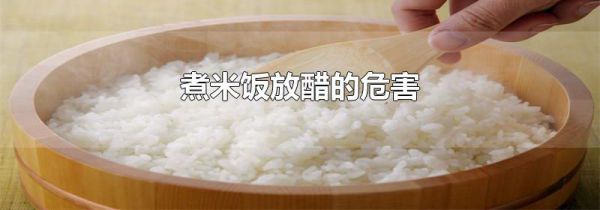 煮米饭放醋的危害