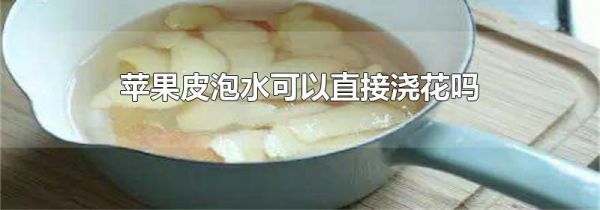 苹果皮泡水可以直接浇花吗