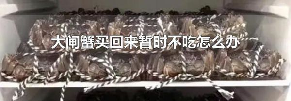 大闸蟹买回来暂时不吃怎么办