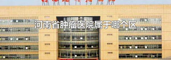 河南省肿瘤医院属于哪个区