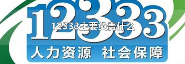 12333主要负责什么