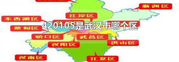 420105是武汉市哪个区