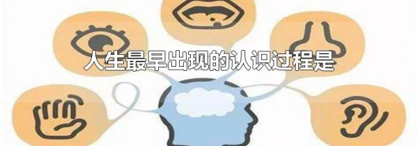 人生最早出现的认识过程是