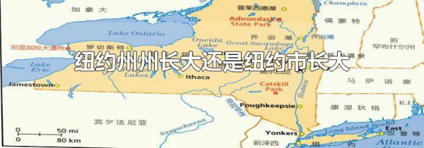 纽约州州长大还是纽约市长大