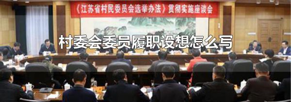 村委会委员履职设想怎么写