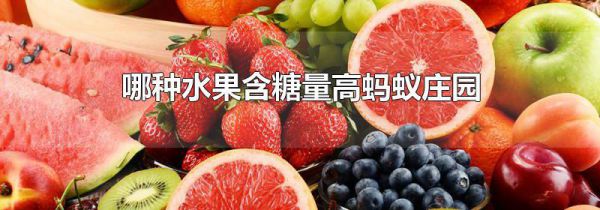 哪种水果含糖量高蚂蚁庄园