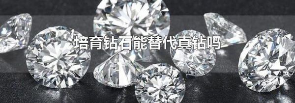 培育钻石能替代真钻吗