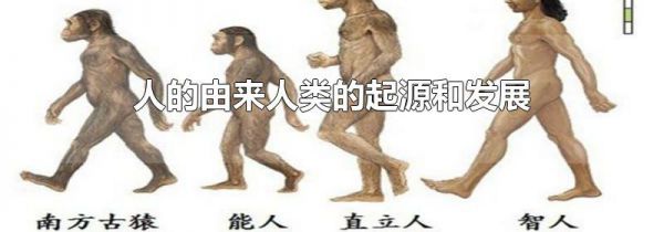 人的由来人类的起源和发展