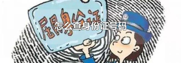 怎么查身份证号码