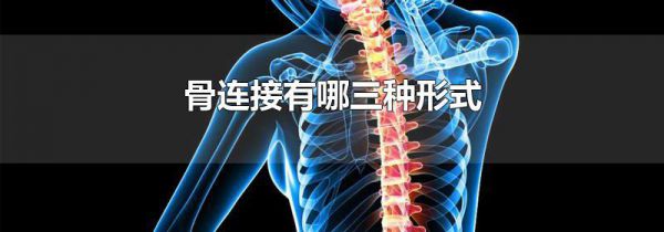 骨连接有哪三种形式
