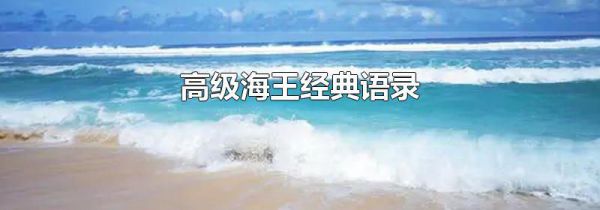 高级海王经典语录