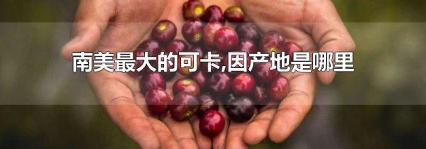 南美最大的可卡,因产地是哪里