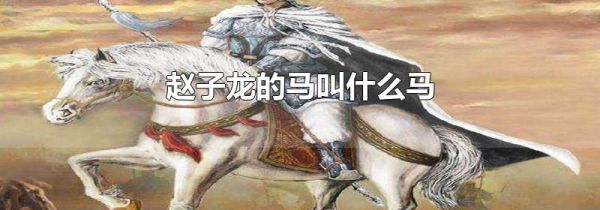 赵子龙的马叫什么马