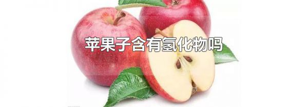 苹果子含有氢化物吗