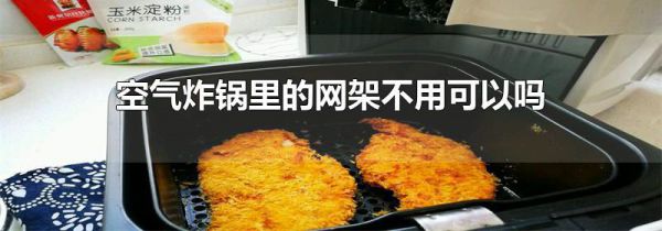 空气炸锅里的网架不用可以吗