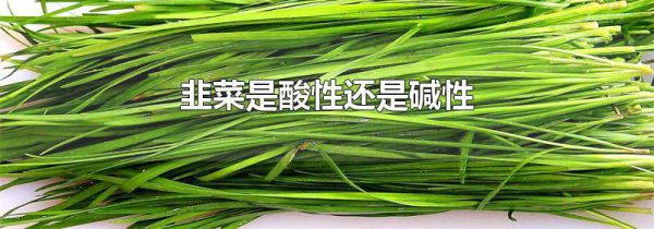 韭菜是酸性还是碱性
