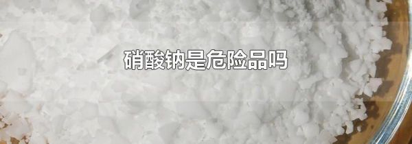 硝酸钠是危险品吗