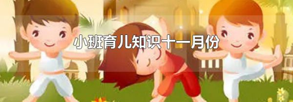 小班育儿知识十一月份