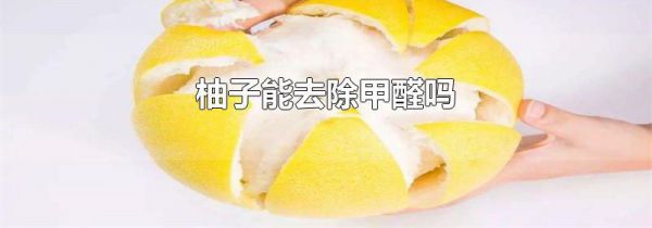 柚子能去除甲醛吗