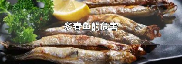 多春鱼的危害