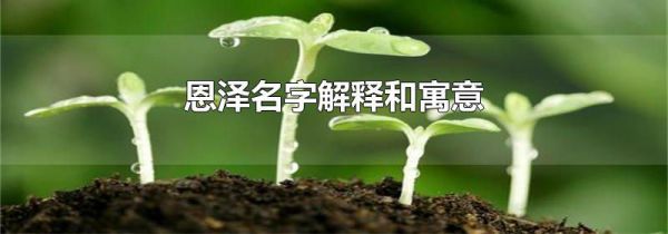 恩泽名字解释和寓意