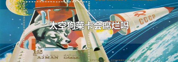 太空狗莱卡会腐烂吗