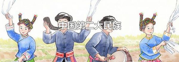 中国第二大民族