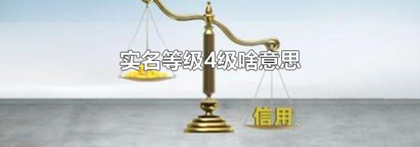 实名等级4级啥意思