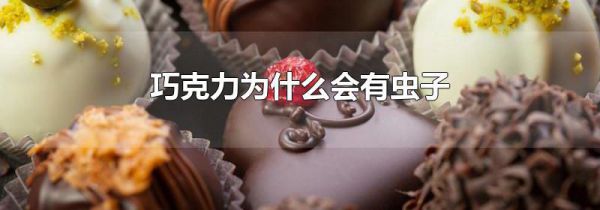 巧克力为什么会有虫子