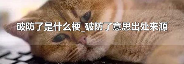 破防了是什么梗_破防了意思出处来源