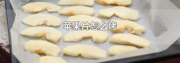 苹果片怎么烤