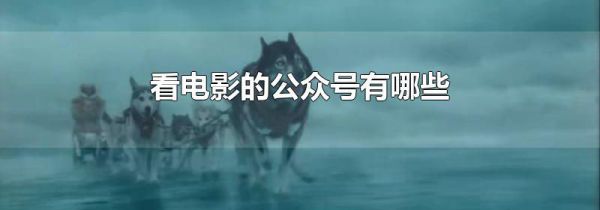 看电影的公众号有哪些