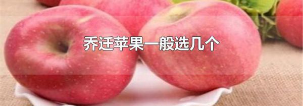 乔迁苹果一般选几个