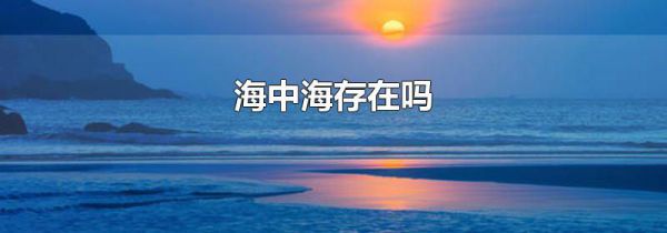海中海存在吗