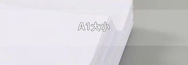 A1大小