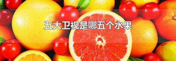 五大卫视是哪五个水果