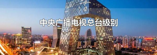 中央广播电视总台级别