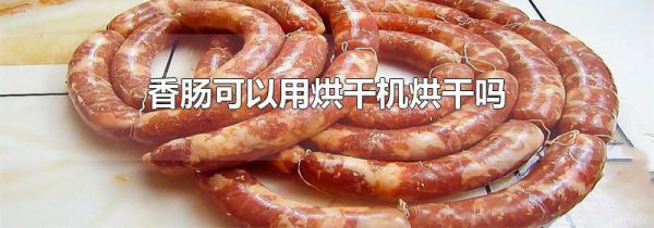香肠可以用烘干机烘干吗