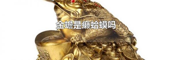 金蟾是癞蛤蟆吗