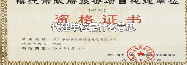 代建单位是什么意思