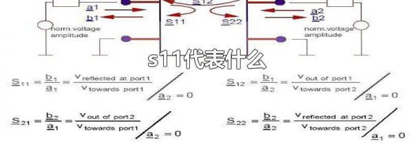 s11代表什么