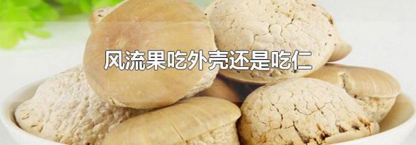 风流果吃外壳还是吃仁