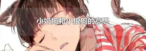 小奶狗和小狼狗的意思