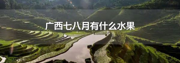 广西七八月有什么水果