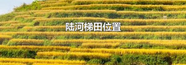 陆河梯田位置