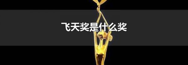 飞天奖是什么奖